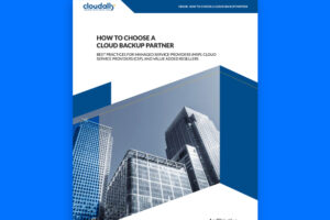 How to Choose a Cloud Backup Partner