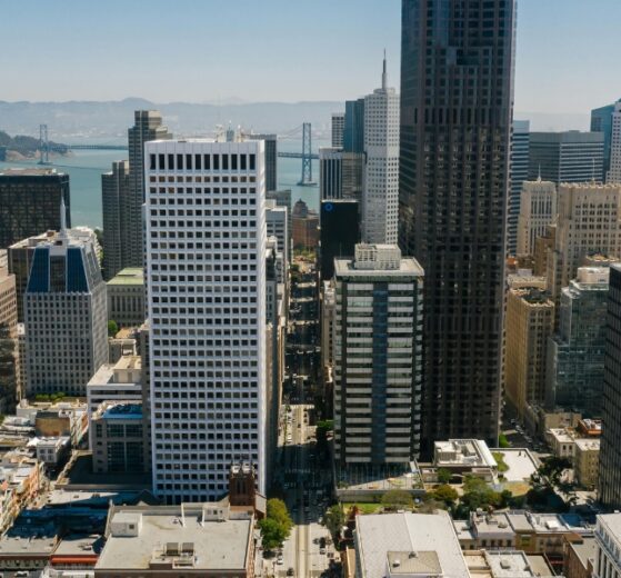 Building the Next Silicon Valley Where Innovation Hubs Are Blooming Globally